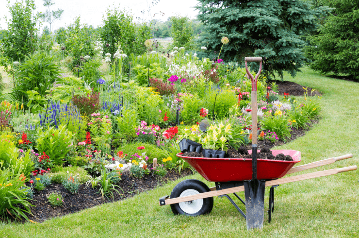 Pro Landscape 