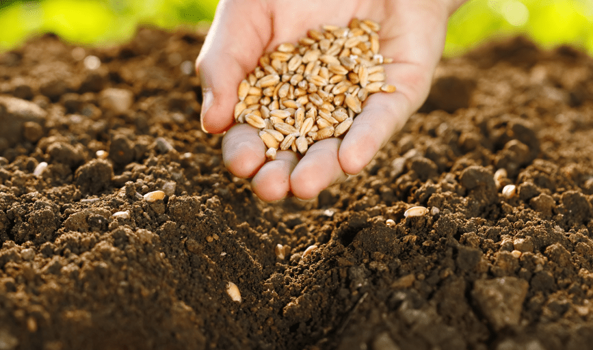 PLANTING SERVICES